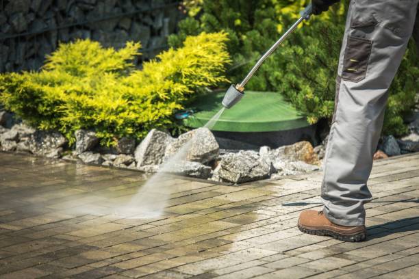 Animal Enclosure Cleaning in Homerville, GA