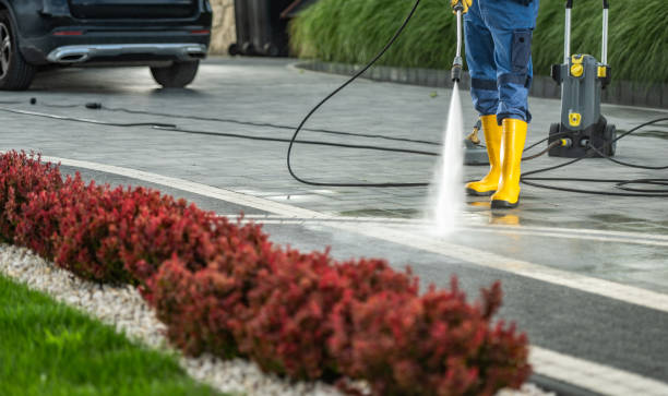 Best Sidewalk and Walkway Cleaning  in Homerville, GA